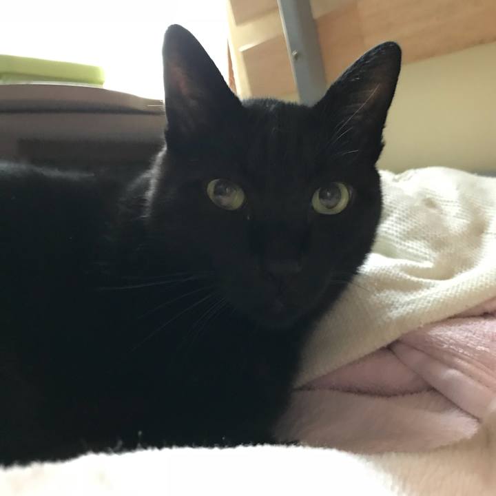 0cfadfda d780 44a5 832b 209e82ee79bf 1508204492157