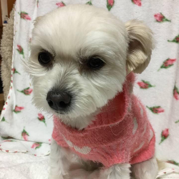 0cfaee92 8fe5 482b b9b4 ed97d6d0803b 1508574345682