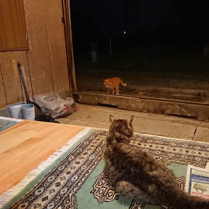 0cfb0163 7319 4170 a2ac 958d65e138c3 1598177465481