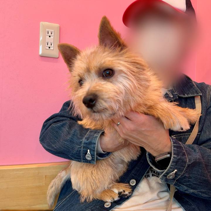 0cfb0d97 137e 489e 88ba 1d6794eefa51 1712138178483