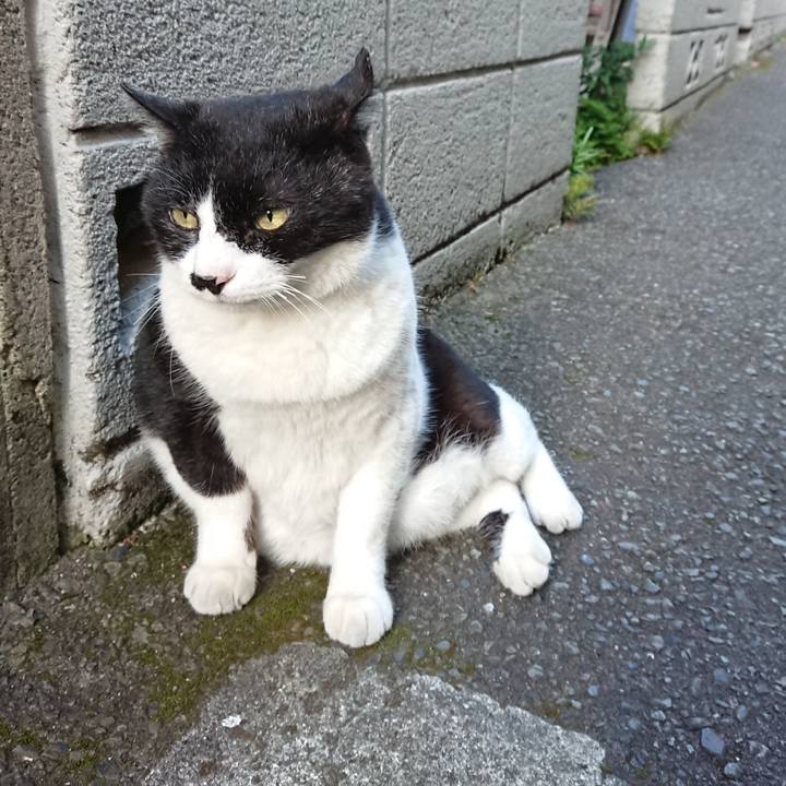 0cfb1669 9e62 4c03 96e2 f4848f61992b 1623487265132