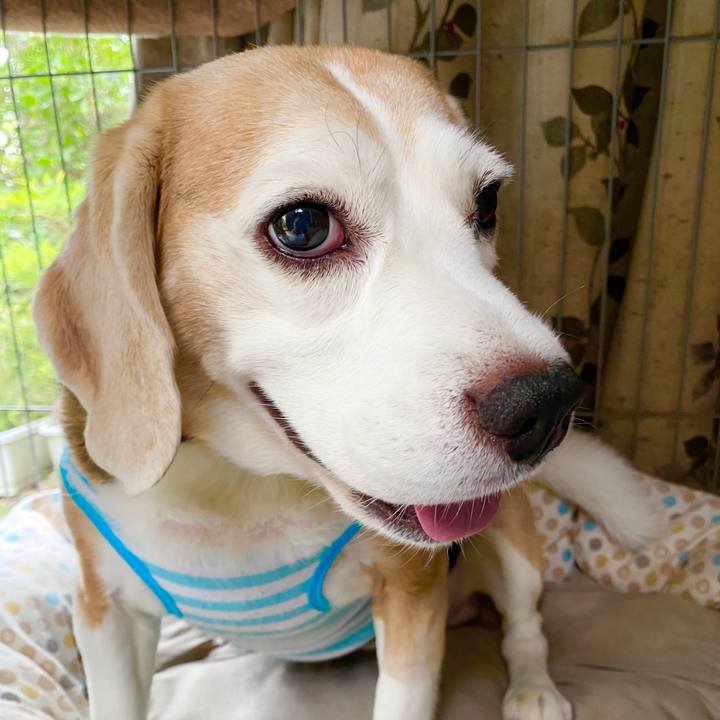 0cfb19d5 88e6 4a8d acff fd0f72a0de47 1599708762492