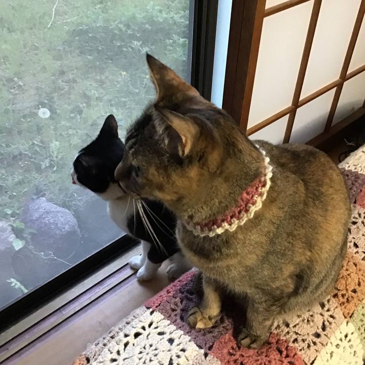 0cfb417e 6cc9 4650 babc 0c474203f568 1650100426133