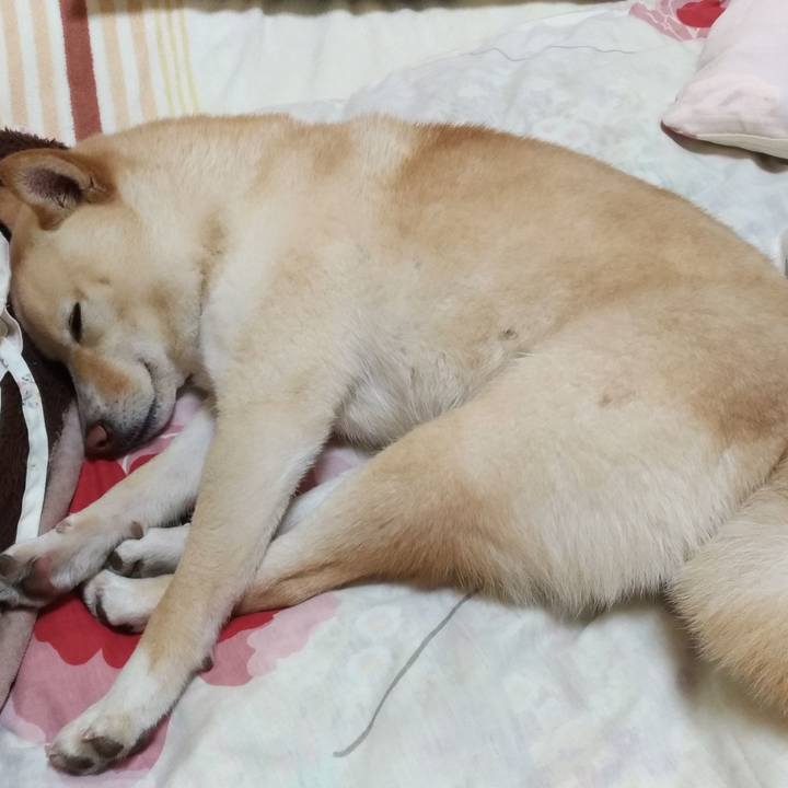 0cfb5c83 12fc 4e6d a1e9 be3f4113ae5c 1551186881011