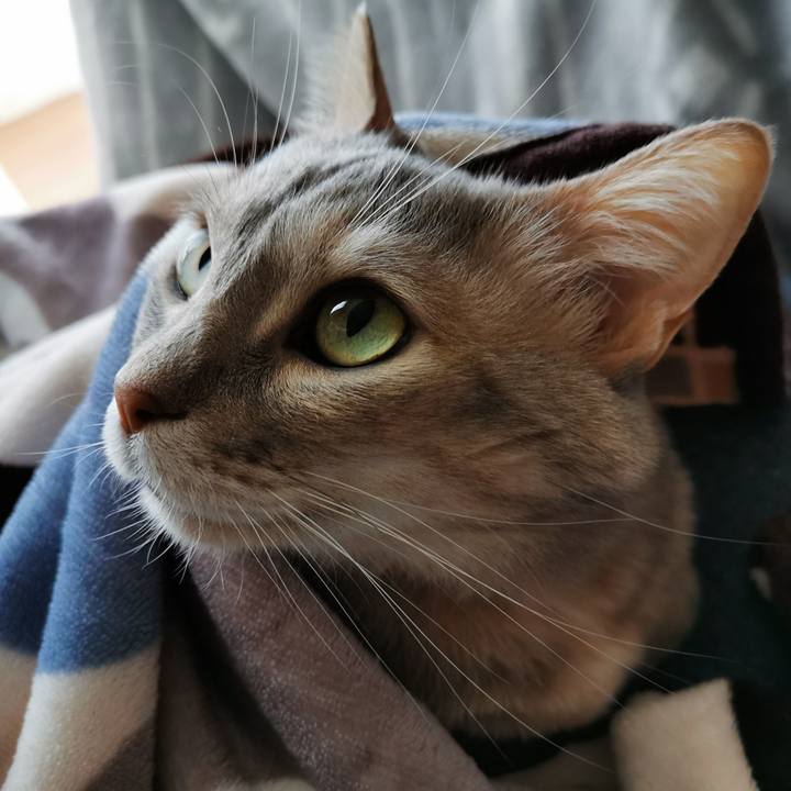 0cfb82d3 a785 413d 8014 449c378c5a16 1674358194291