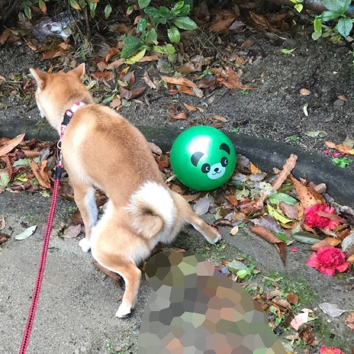 0cfb86a9 66b0 430c bc29 7cc33c5860a0 1521708310540