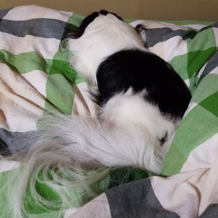 0cfb9d95 4838 475c 8a2e e89f3aa1895d 1540038766491