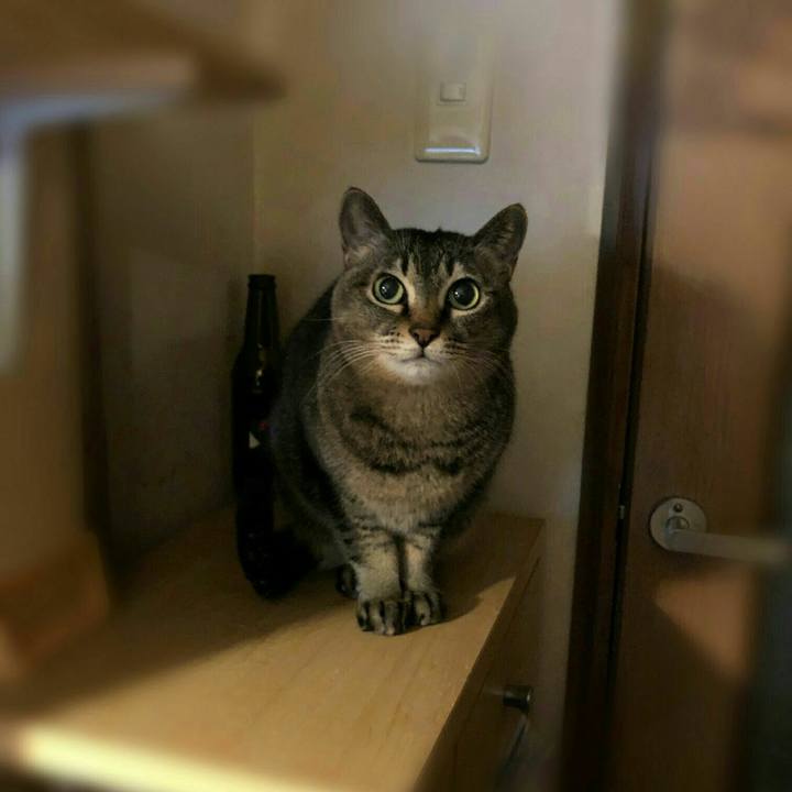 0cfba674 6c05 487c a0b0 cd790d8dd8d2 1580690164335