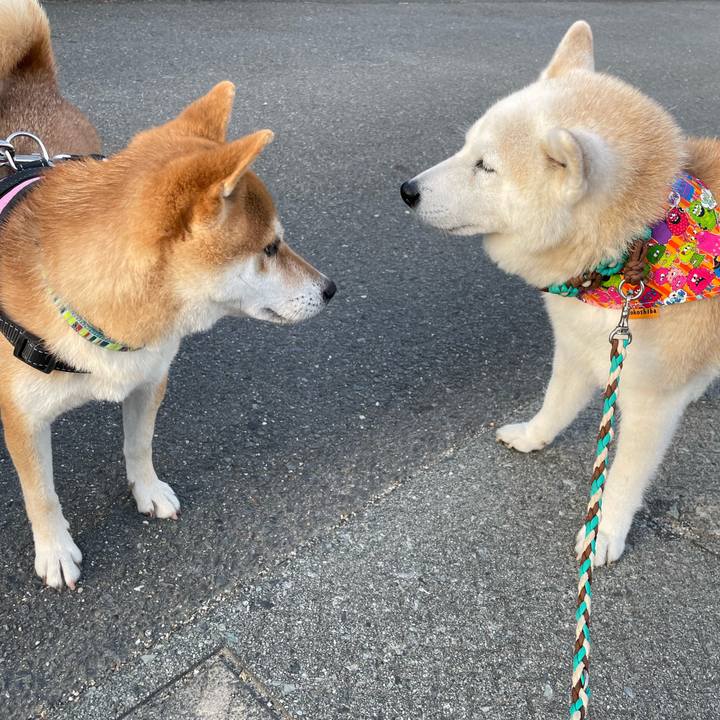 0cfbb7d6 4e16 4136 807a b876af208f23 1664924104310