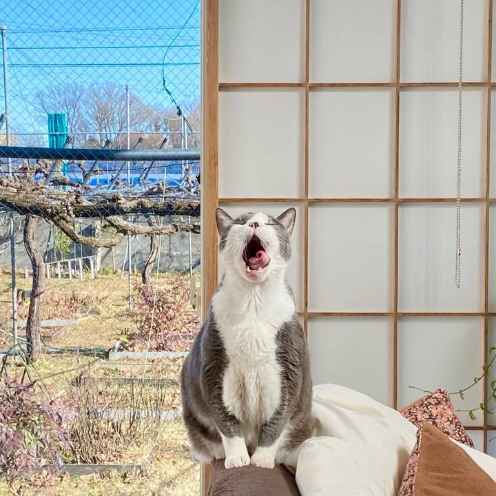 0cfbdc23 b334 4484 923d aec3f596672c 1768197542446