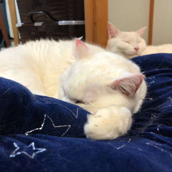 0cfc1187 41c8 4b06 808a 472ec0fc6abe 1578742747425