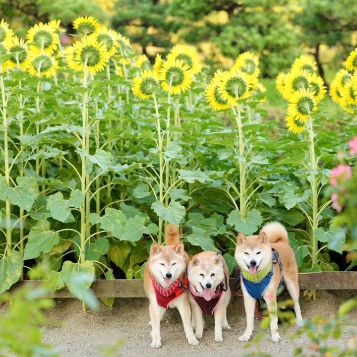 0cfc1f09 84df 4861 bd8d 705e7144cf87 1753793737604