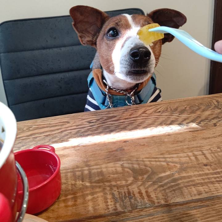 0cfc3832 010d 45f4 b47b ac416342d2de 1677132665320