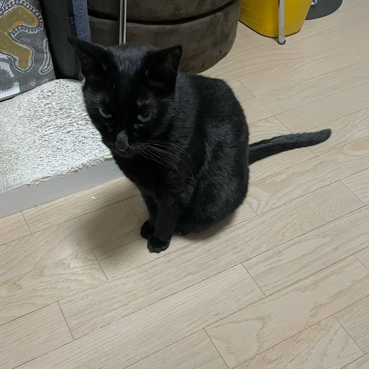 0cfca071 4362 4540 8e62 9341db1b3a7c 1768568503231