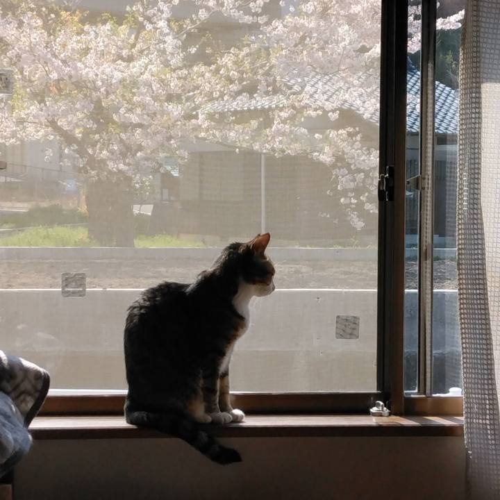 0cfca4de dfeb 4004 b7ec a336c248c6ab 1649543458650