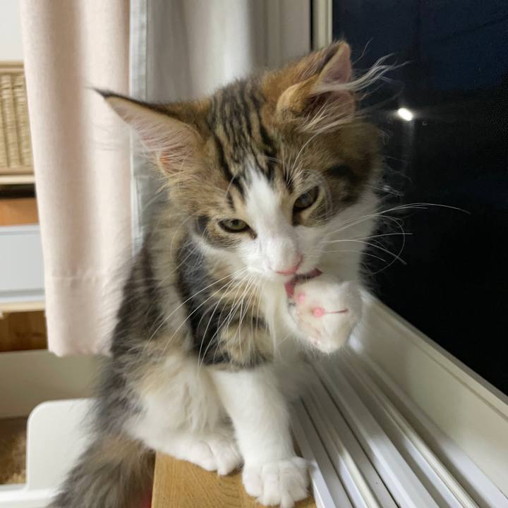 0cfcadd4 bb21 4295 a721 6028718d3ea8 1633119211452