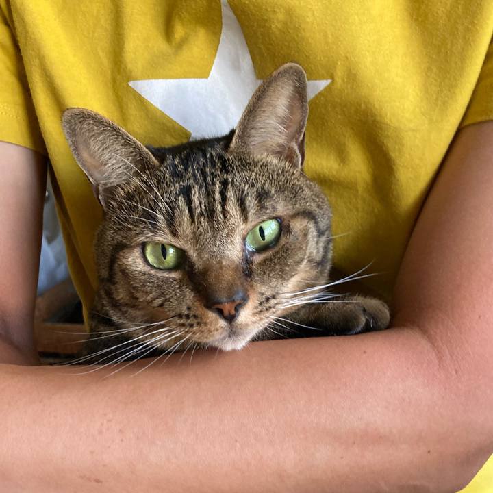 0cfcadf0 603e 49fa bbe9 cfed1fded2e9 1752205352330