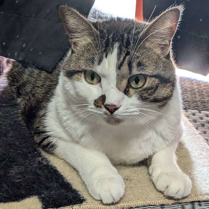 0cfce647 82c3 40fc 94c8 4428954bcfdd 1727059469838