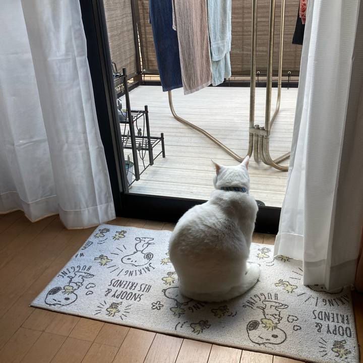 0cfce9c9 76e8 4fc2 a13e 6be5eb39a433 1767927810659