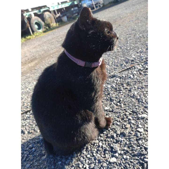 0cfcf6d2 5733 4f38 b161 f3442ee80eb0 1732840013798