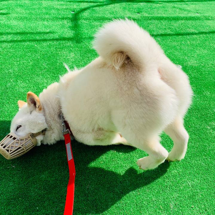 0cfd1d29 d283 413a 95a4 027cc02a05a6 1588544398430