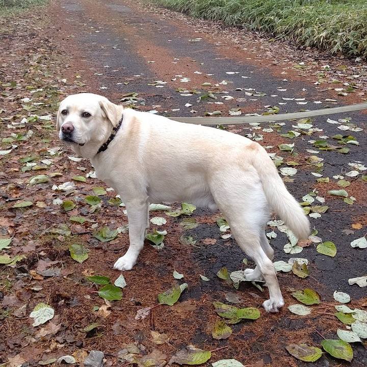 0cfd5109 e97d 4e54 a1ff e7aa6bbf6a76 1635406080783