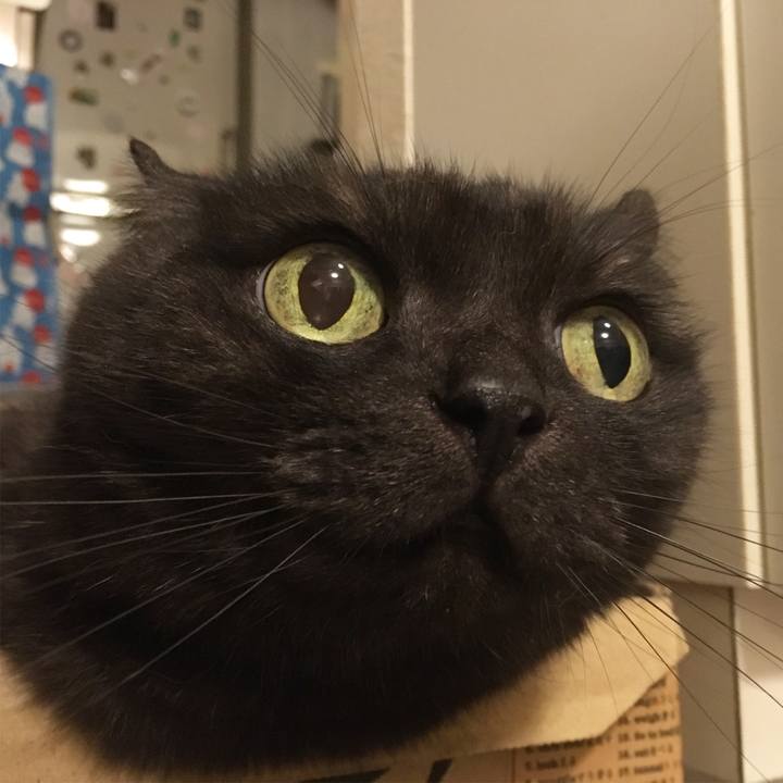 0cfd9188 49da 4a64 ae4a 98084980d042 1561564443633