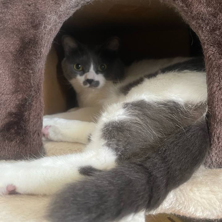 0cfdf8c6 3e2a 4f28 a820 c50217131d91 1756606505954