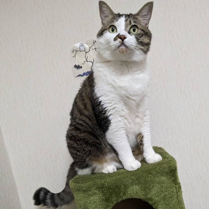 0cfdfcfb beef 4342 b246 052b61968253 1698721557411