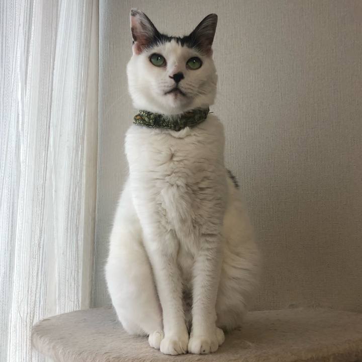 0cfe24c3 2935 4e4c 8835 890f98836183 1568610344922