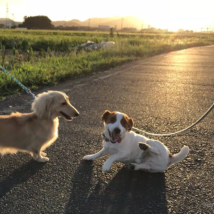 0cfe4f6f 0a67 4239 a112 aca7bf942ebf 1535707021845