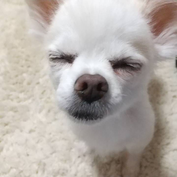 0cfe54d6 ba6e 4b87 bdcc baadb8738a3d 1576929827768