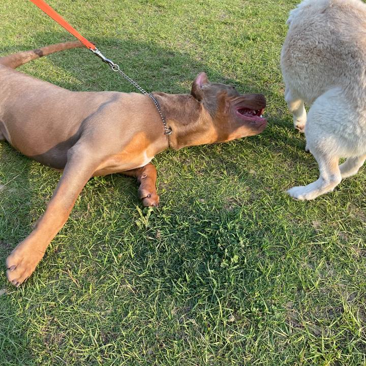 0cfe8059 b885 4972 ba84 afc9e1691aa8 1654356737617