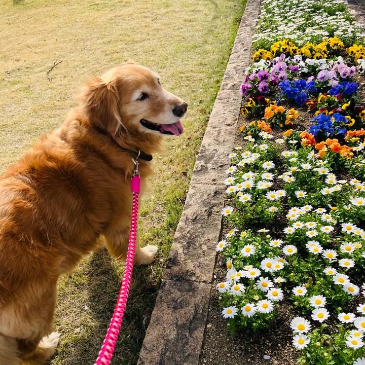 0cfe9bd4 d65b 4449 8c43 2656cc5e3c5d 1775824629188