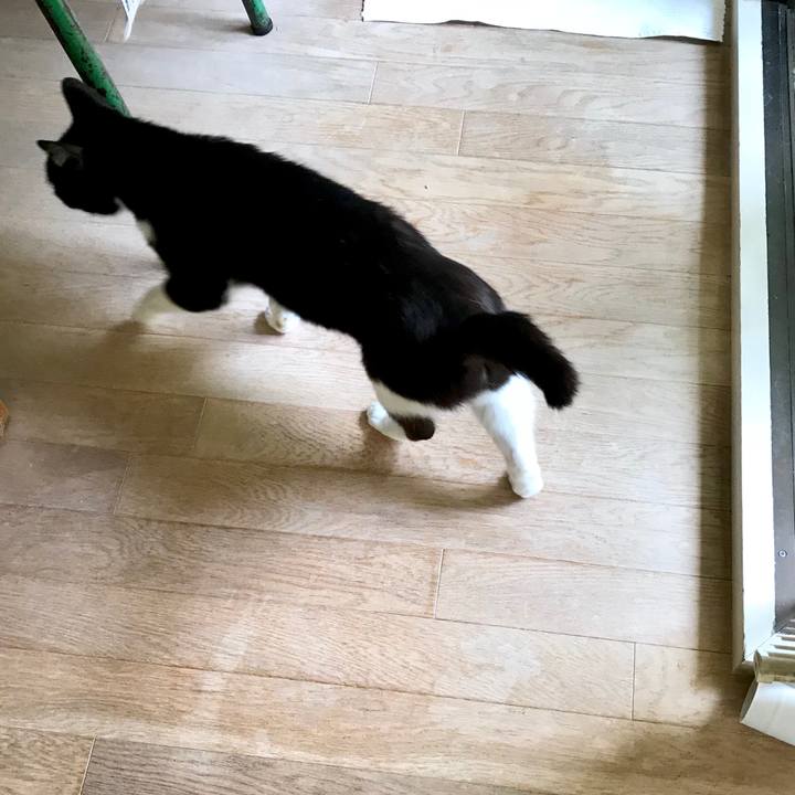 0cfea8d5 368f 4189 9a98 d90e0cba7a40 1525236631806