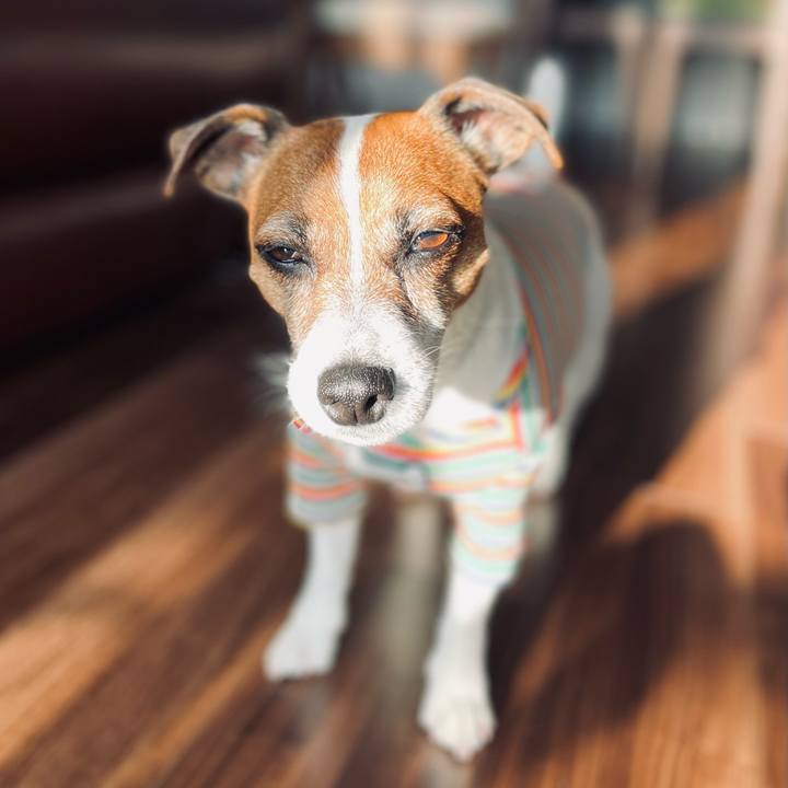 0cfedee3 88f2 4b9d b711 8197c321c948 1740784048216