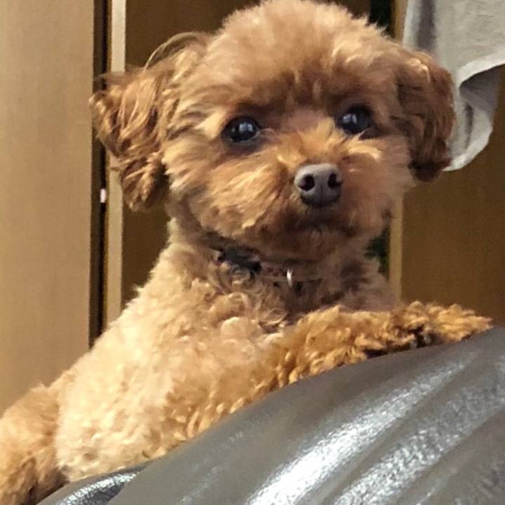 0cfee0cd 0cc6 46d4 be00 0e31d5aefdaa 1551778066727