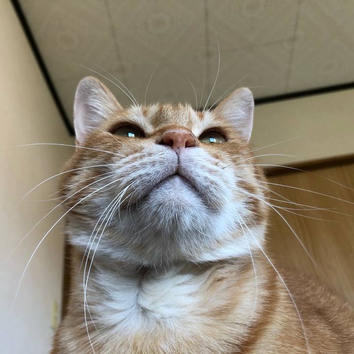 0cff91e0 b8ce 44f3 9d84 f00158a237b5 1602988092227