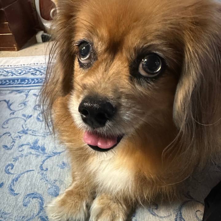 0cff95da 82a0 468d 83e6 e80969fde650 1728249063522