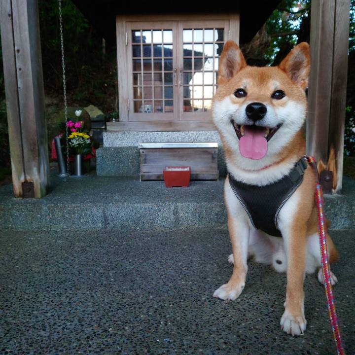 0cff977b 545f 4016 855c ead62184e2e5 1759912654771