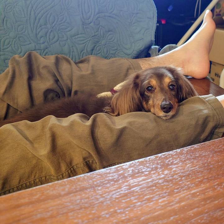 0d000610 b769 4074 8cca f29297320c23 1748136704823