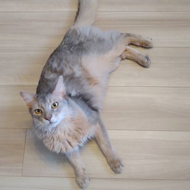 0d001785 5721 420a b325 5b048f9ce19a 1625547981191