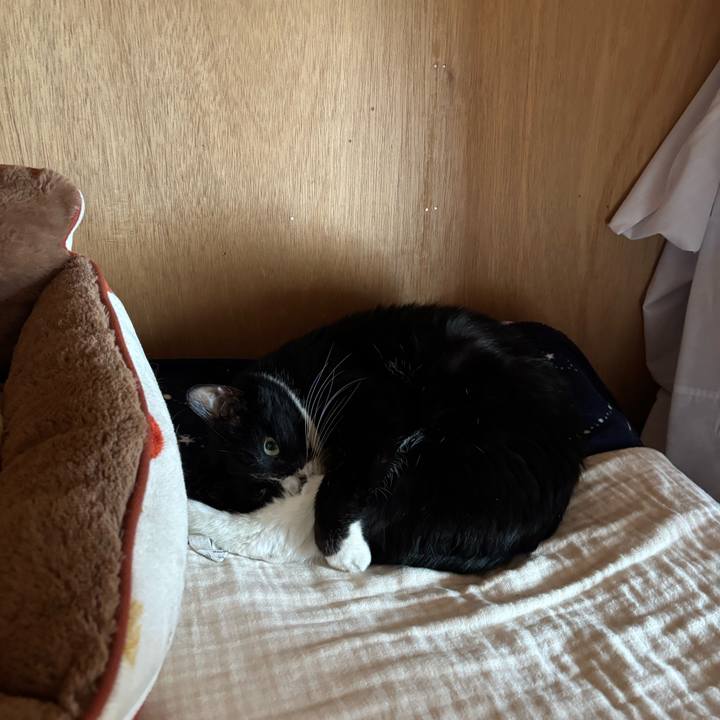 0d005bb3 6818 404b 8b3b e06b1a07ef0e 1774241268334