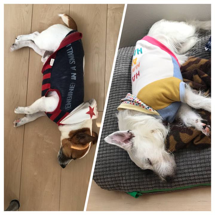 0d0061d3 452b 4c19 862a 79372a1b0762 1520829254642