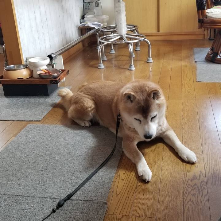 0d009168 c7dc 412f a425 873d5d932526 1740442217322