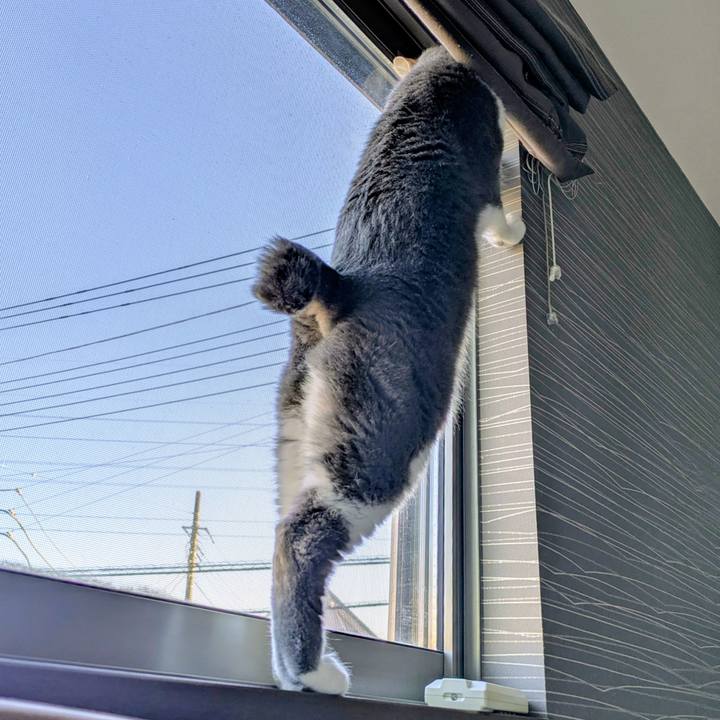 0d00a98f 6e61 43b1 84f5 30ee18d5f60c 1768355632388