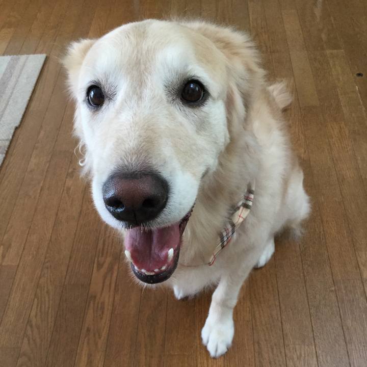 0d00b7ea bbf8 4376 b575 fc4c5233d6c7 1539918851277