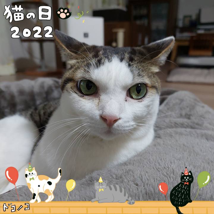 0d00c7fd cc95 4d39 8754 14e46c40e62c 1645525772690