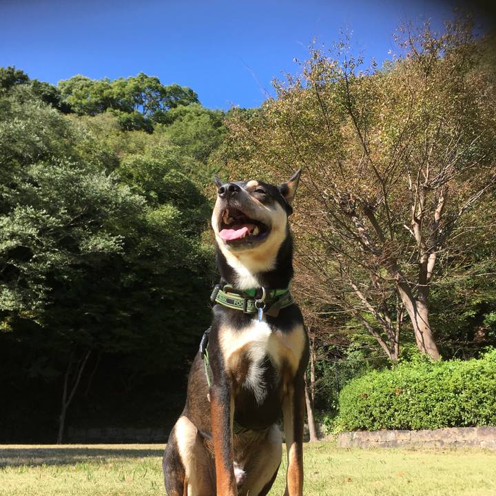 0d00c924 f895 4a84 b25c c4daf1fa6acd 1540819070207