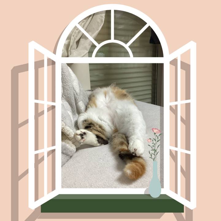 0d012ae5 ea6c 42c9 b0f6 36edf9875d22 1654988343408